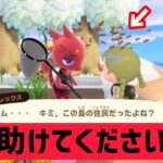 【あつまれどうぶつの森】蜂に追われてたら、レックスは捕まえてくれるのか！？