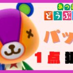 【あつ森】あつ森初心者だけどパッチをオムカエしたい【離島ガチャ】