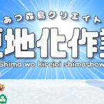 【あつ森】新年に向けて更地化作業！【島クリエイト：あつまれどうぶつの森】