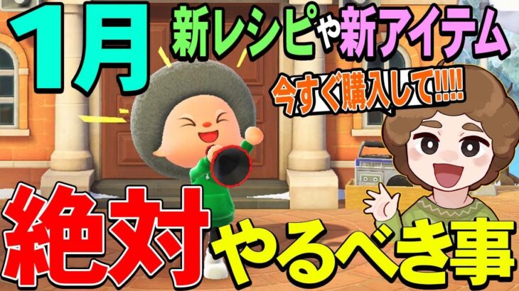 【あつ森】1月に絶対にやっておきたいことまとめ！今月はゆっくりハピパラができる!!【あつまれ どうぶつの森】【ぽんすけ】