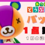 【あつ森】新年1発目の離島ガチャ配信ならパッチ来てれるやら？？？【離島ガチャ】