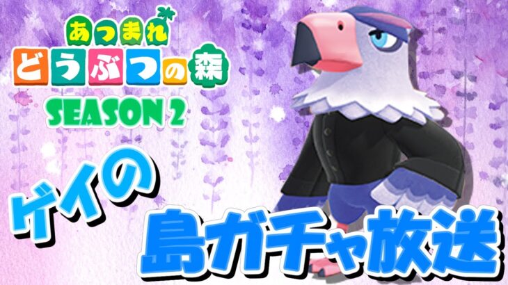 【あつ森】ゲイの離島ガチャ #8 ～Season2～【あつまれどうぶつの森】