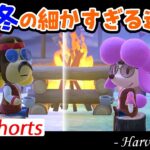 【 あつ森 】 夏と冬の細かすぎる違いとは？パニーとカットリーヌに注目！ #Shorts | 小ネタ | パニー島 | あつまれどうぶつの森