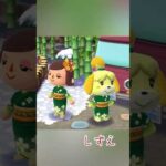 過去イベント写真集 #ポケ森