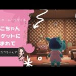 【あつ森】【ハピパラ】あんこちゃんのお部屋