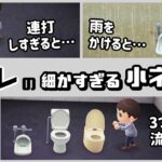 【あつ森】意外と知らない「トイレ」に隠れた細かすぎる小ネタ集！【あつまれ どうぶつの森】@レウンGameTV