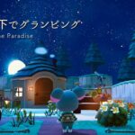 【あつ森】星空の下でグランピング｜ゴンゾーの別荘｜ハピパラ｜Happy Home Paradise｜beach｜Animal Crossing New Horizons｜ハッピーホームパラダイス