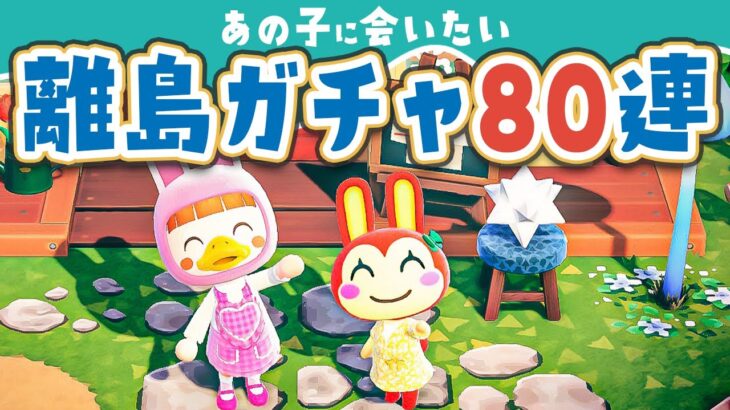 【あつ森】ちょっとだけ！10ヶ月ぶりの『離島ガチャ』あの子に会いたい80連【あつまれどうぶつの森 | ライブ】#4