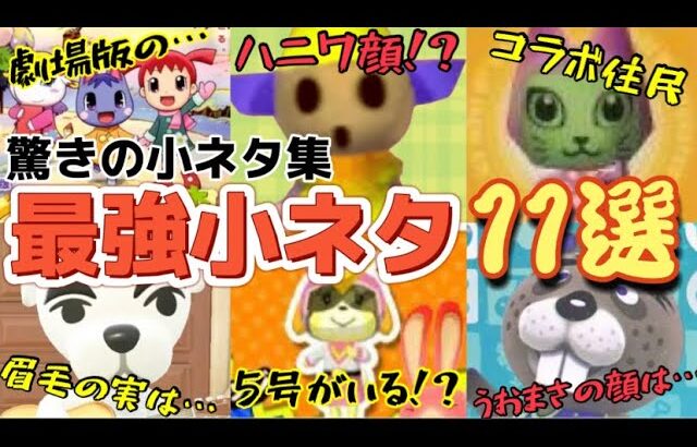 【あつ森】どうぶつの森最強小ネタ11選！ショート動画をまとめてさらに詳しく解説！最後に新しい小ネタも【あつまれどうぶつの森】