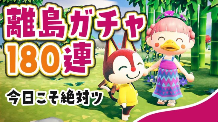 【あつ森】今日こそ絶対モード『離島ガチャ』あの子に会いたい180連【あつまれどうぶつの森 | ライブ】#8