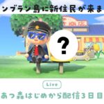 【あつ森】3日目！はじめての離島ガチャでまさかの当たり！？＆新しい住民が来る回【右脳くん】