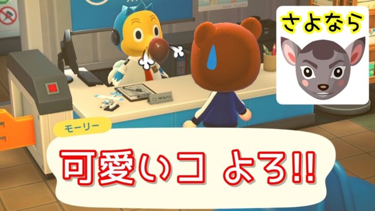 【あつ森ライブ】離島ガチャで人気キャラを勧誘したい！可愛い住民が来ないかな～