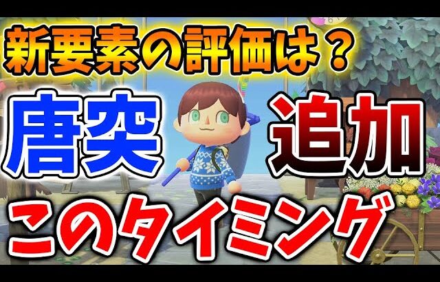 【あつ森】今年初？このタイミングで新機能が追加されたわけだがみんなの評価はどうなの？【あつまれどうぶつの森/攻略/実況/ハピパラ/ハッピーホームパラダイス/新家具】