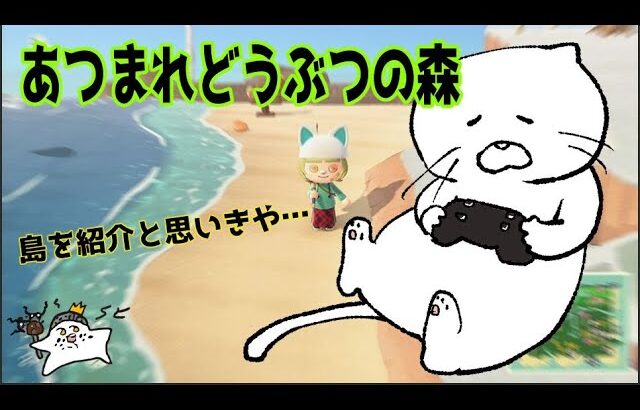 あつまれどうぶつの森　チャミの島をちょこっと紹介！のつもりが…