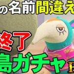 【あつ森】カモミの霊圧が消えた『名前を間違ったら即終了離島ガチャ』#31【あつまれ どうぶつの森】【ぽんすけ】