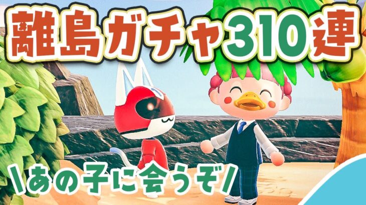 【あつ森】桜の木の下であの子に会うぞ『離島ガチャ』310連【あつまれどうぶつの森 | ライブ】#12