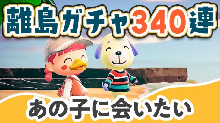 【あつ森】あの子に会いたい『離島ガチャ』340連【あつまれどうぶつの森 | ライブ】#13