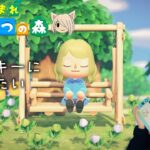 【あつ森】#5 ラッキーとお話したい！【島クリを目指す旅】【あつまれどうぶつの森】【ゲーム実況】