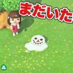 【あつ森】なんでまだ雪だるまいるの！？【あつまれどうぶつの森】