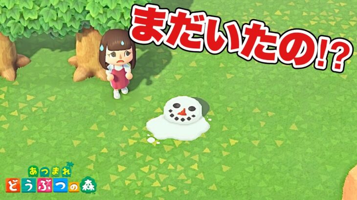 【あつ森】なんでまだ雪だるまいるの！？【あつまれどうぶつの森】