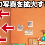 【あつ森】絶対気づけない場所にある写真を拡大してみると・・・？【あつまれどうぶつの森】