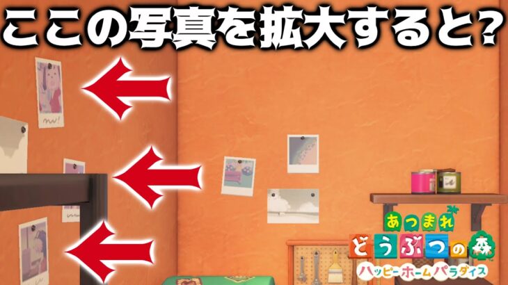 【あつ森】絶対気づけない場所にある写真を拡大してみると・・・？【あつまれどうぶつの森】