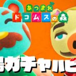 【生放送】あつ森「離島ガチャ」と「ハピパラ」をやりたい実況プレイ