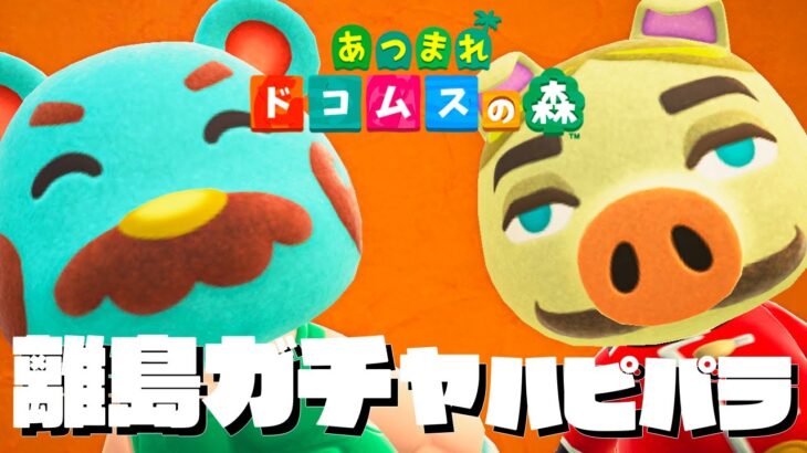 【生放送】あつ森「離島ガチャ」と「ハピパラ」をやりたい実況プレイ