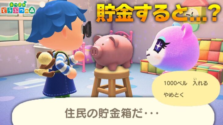 住民の家に設置した”貯金箱”に1000ベル貯金したらどうなるのか？【あつ森 / あつまれどうぶつの森】【アップデート / アプデ】「小ネタ検証」