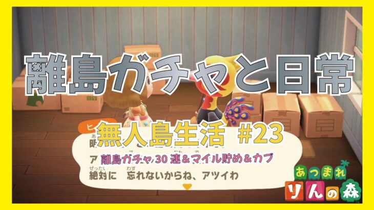 【あつ森】離島ガチャと日常　マイル貯め＆カブ　無人島生活 #23 【初見さんも大歓迎】【あつまれどうぶつの森】