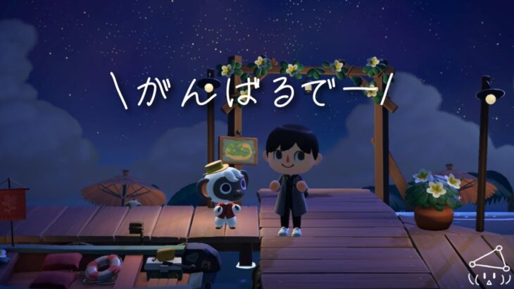 【ハピパラ】新しい案件とってくるやでー【あつ森配信 441日目】