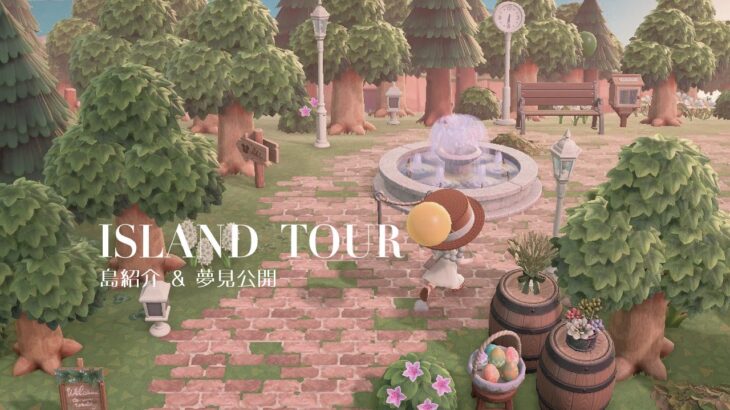 【島紹介】やどりぎ島をお散歩しながら紹介＆夢見公開のお知らせ🌿｜Island Tour & Dreaming Open to the Public🌿【お散歩｜夢見公開】