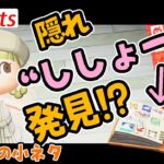 【 あつ森 】あの新家具に隠れ“ししょー”発見！？ #Shorts | 小ネタ | あつまれどうぶつの森