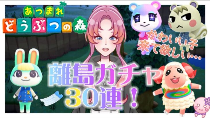 【あつまれどうぶつの森】離島ガチャ３０連！で住民厳選！【新人VTuber】