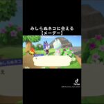 メーデー攻略動画はYouTube本編にて！#acnh #あつまれどうぶつの森 #あつ森 #animalcrossing #ハピパラ #happyhomeparadise #みしらぬネコ #メーデー