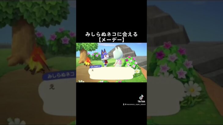 メーデー攻略動画はYouTube本編にて！#acnh #あつまれどうぶつの森 #あつ森 #animalcrossing #ハピパラ #happyhomeparadise #みしらぬネコ #メーデー