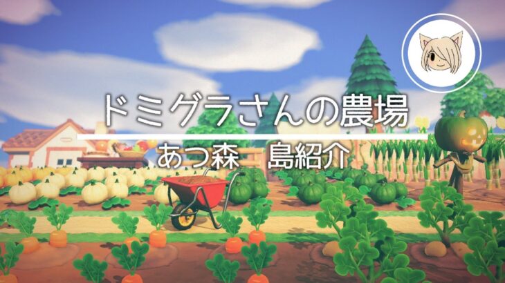 【あつ森】海の見えるドミグラさんの大きい畑【マイデザなし】【島紹介】【島クリ】