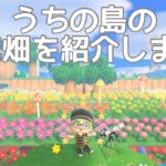 「あつ森」島クリ　かくざ島のお花畑を紹介します♪ 22/6