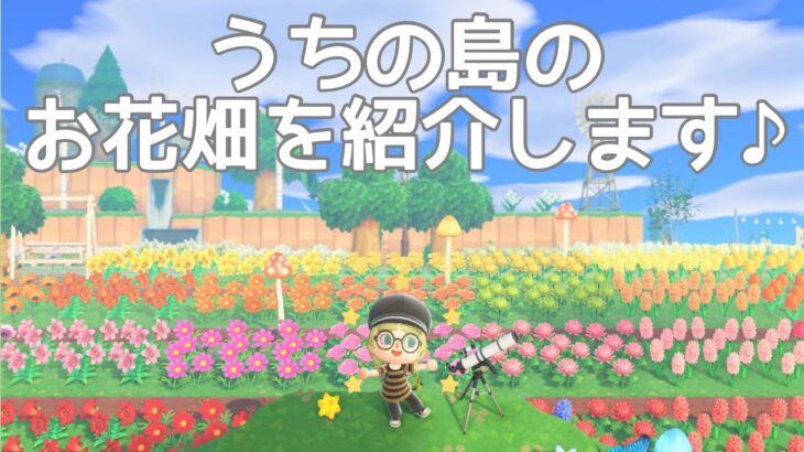 「あつ森」島クリ　かくざ島のお花畑を紹介します♪ 22/6