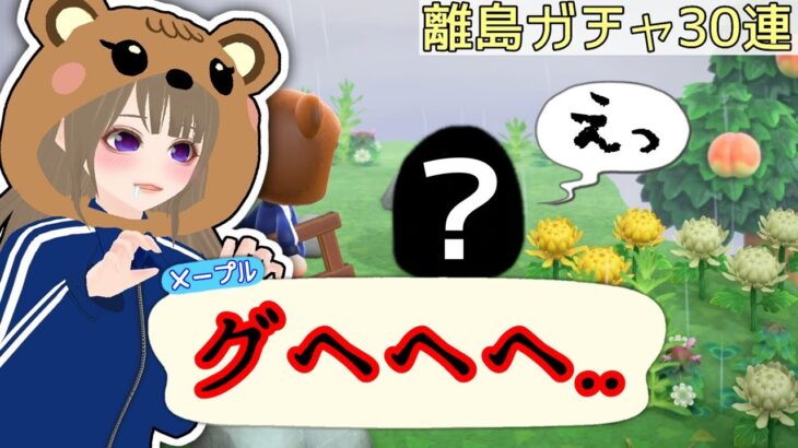 【あつ森ライブ】離島ガチャ30連！！いい加減、ミッチェル来てくれんかなー・・・