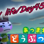 【初心者あつ森/Day45】離島キャラガチャ80連！和風キャラを求めて｜#NintendoSwitch #あつまれどうぶつの森 #あつ森 #材料集め #初心者 #BGM #島クリ #和風 #離島ガチャ