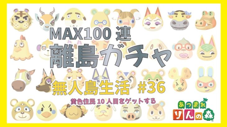 【あつ森】黄色い住民求めて離島ガチャ！MAX100連　無人島生活 #36 【初見さんも大歓迎】【あつまれどうぶつの森】