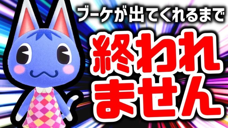 【あつ森】本当の最終決戦！！ブーケが出てくるまで終われない離島ガチャ！！【住民厳選】