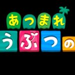 最初に離島ガチャしてからまったりのんびりあつ森【配信】