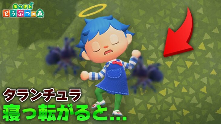 タランチュラに追われてる時に寝っ転がったら流石に刺されない説【あつ森 / あつまれどうぶつの森】「小ネタ検証」