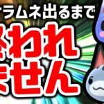 【あつ森】耐久企画！！狙っている住民出てくるまで終われない離島ガチャ！！(無謀)【住民厳選】