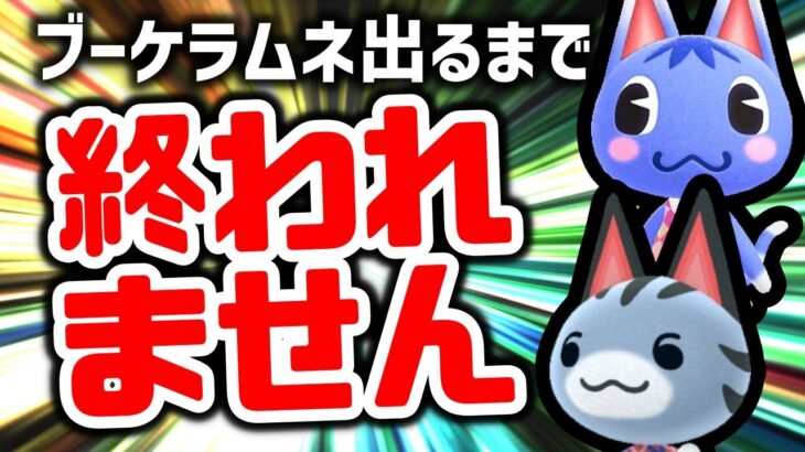 【あつ森】耐久企画！！狙っている住民出てくるまで終われない離島ガチャ！！(無謀)【住民厳選】