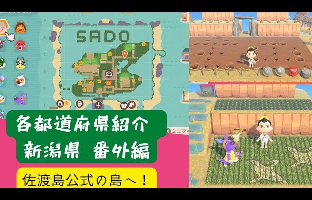 佐渡島公式の島に行ってみたら！？　各都道府県紹介　新潟県　番外編