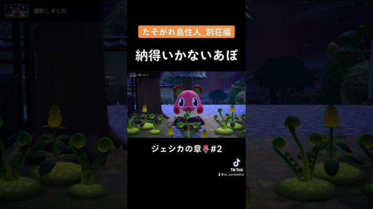 【あつ森/ハピパラ】かわいすぎる！アップルのかわいい攻撃に耐えられるか！？/ジェシカ編2//Animal Crossing Happy Home Paradise #shorts