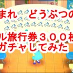 「あつ森」でマイル旅行券300枚で離島ガチャしてみた